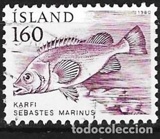 Sellos: Islandia 1980 - Mi 558 - YT 511 - Pez