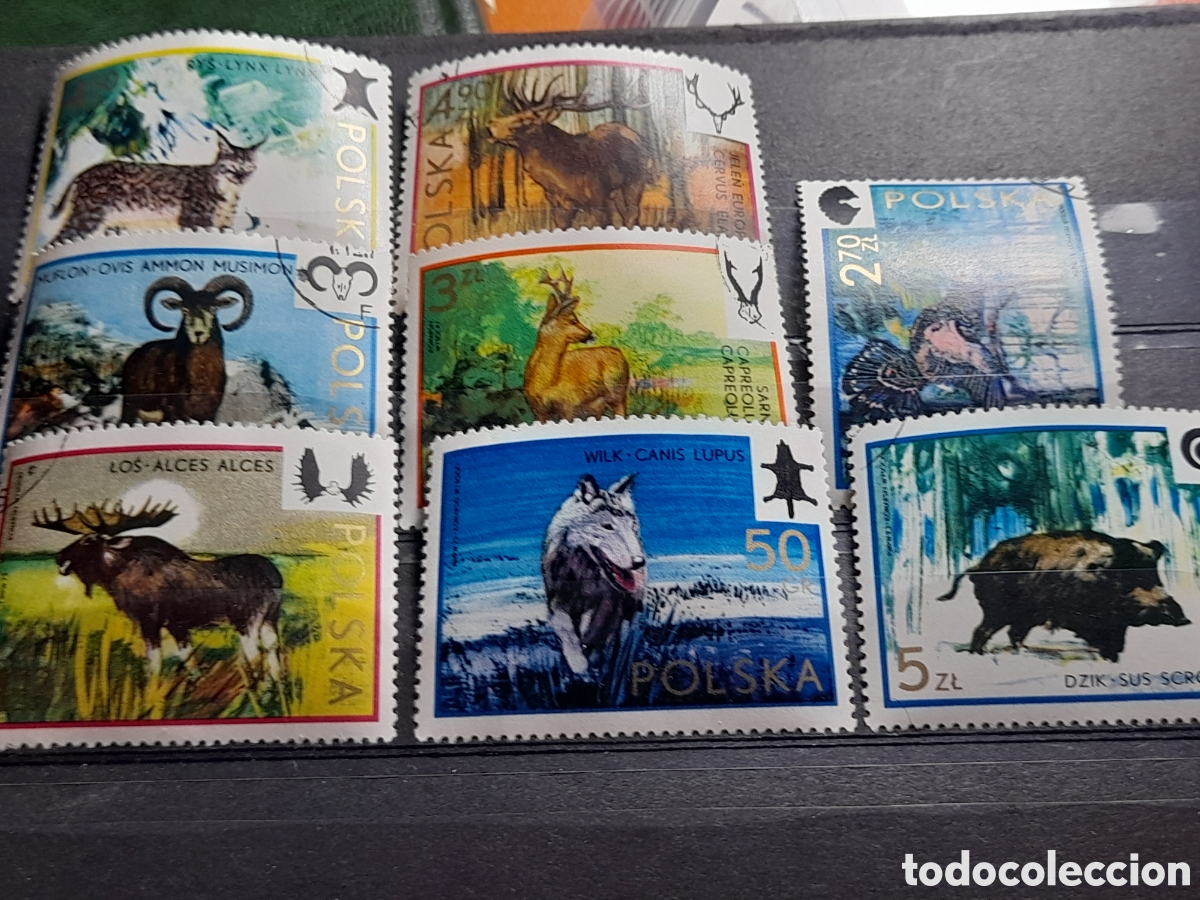 Sellos: Sello Polonia mtdo 1973. Fauna caza. Reno&ntilde;. Jabal&iacute;. Mam&iacute;feros Ciervo Lobo Lince Cabra.