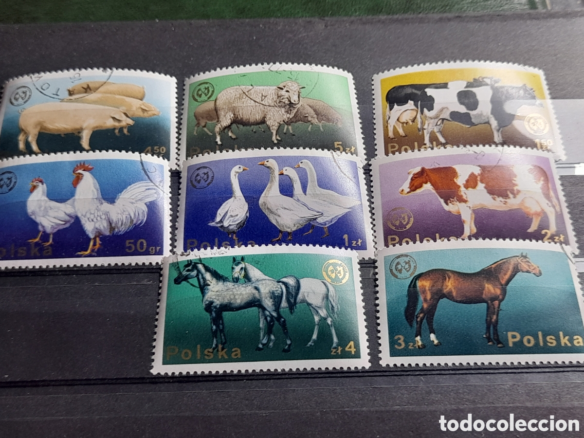 Sellos: Sello Polonia mtdo 1975. 26Aniv congreso Europa animales. Agr&iacute;colas. Fauna. Ave Caballo Vaca. Cerdo.