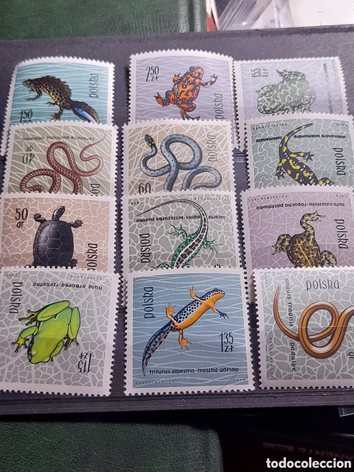 Sellos: Sello Polonia mtdo 1963. Proteccion reptiles y anfibios. Ranas, sapos. Serpientes. Fauna. Tortuga. S