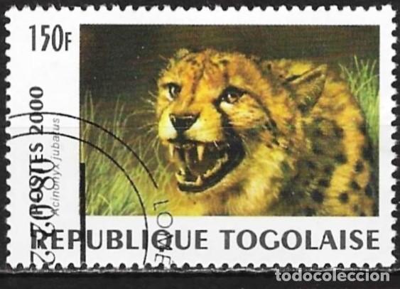 Sellos: Togo 2000 - Mi 2992 - YT 1859B - Fauna : Guepardo