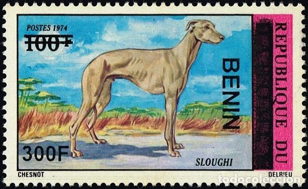 Briefmarken: Ben&iacute;n 2009 Mi. 1514 sobrecargado Sloughi perro lebrel raza canina animal