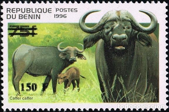 Sellos: Ben&iacute;n 2000 Mi. 1267 sobrecargado b&uacute;falo africano Caffer fauna