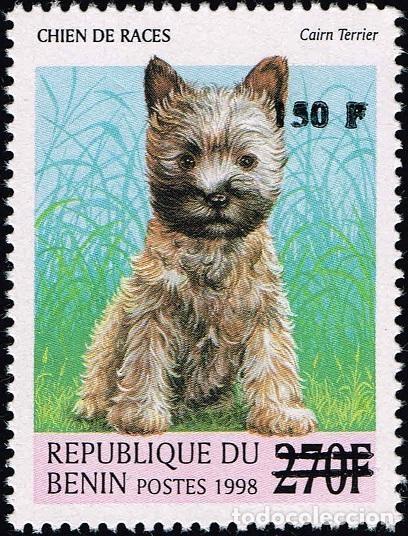 Sellos: Ben&iacute;n 2000 Mi. 1303 sobrecargado perro Cairn Terrier animal