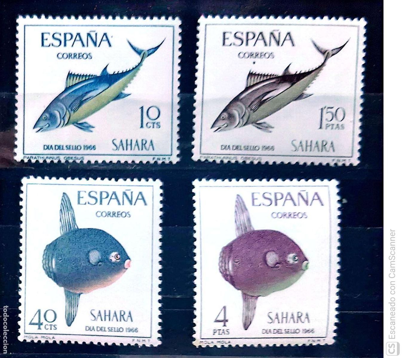 Sellos: Sahara. 252-55 Peces: At&uacute;n y pez luna. 1966. Sellos nuevos y numeraci&oacute;n Yvert.