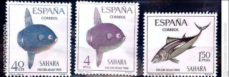 Sellos: Sahara. 253-55 Peces: At&uacute;n y pez luna. 1966. Sellos nuevos y numeraci&oacute;n Yvert.
