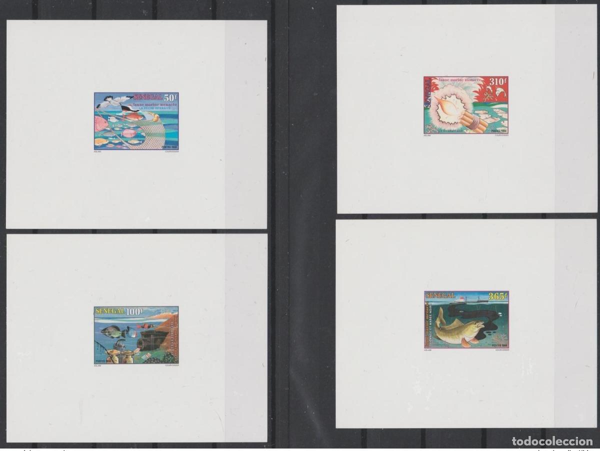 Sellos: Senegal 1998 Mi. 1592 - 1595 Evento de lujo Fauna marina en peligro extinci&oacute;n Peces P&aacute;jaros
