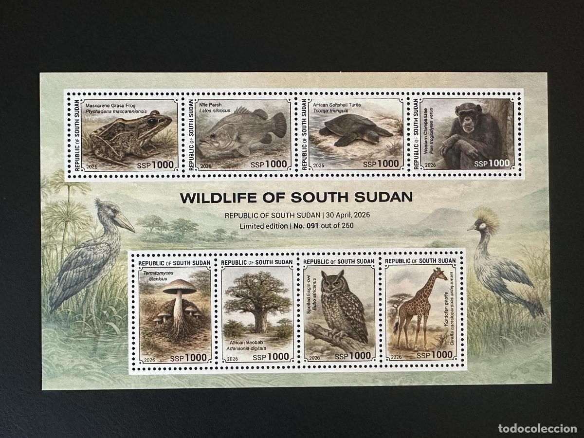 Stamps: Sud&aacute;n del Sur 2026 bloque fauna rana tortuga chimpanc&eacute; jirafa b&uacute;ho baobab