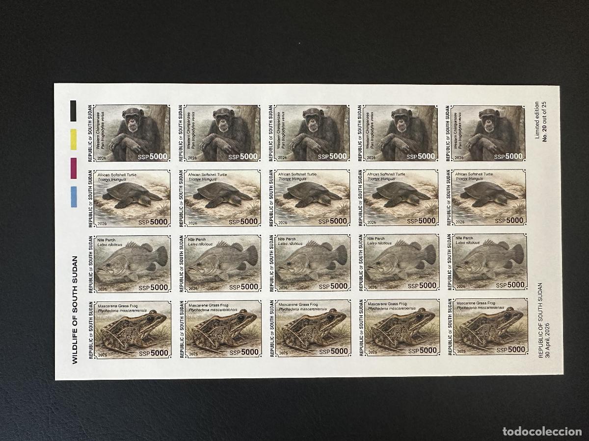 Stamps: Sud&aacute;n del Sur 2026 tabl&oacute;n ND fauna chimpanc&eacute; tortuga perca rana