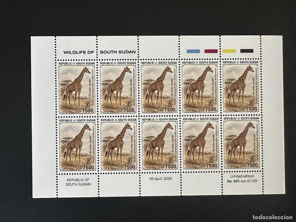 Stamps: Sud&aacute;n del Sur 2026 hoja jirafa de Kordof&aacute;n fauna salvaje &Aacute;frica