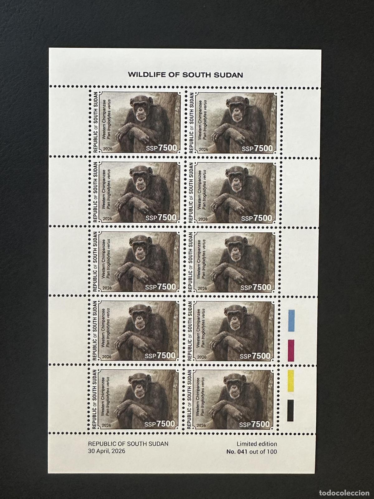 Stamps: Sud&aacute;n del Sur 2026 hoja chimpanc&eacute; occidental fauna salvaje primate