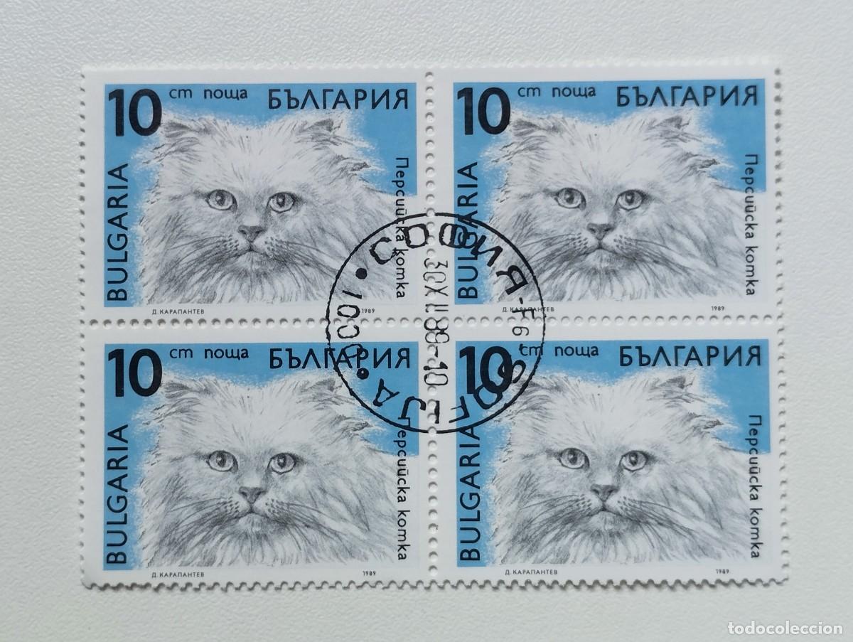 Sellos: BULGARIA 1989 LOTE SELLOS FAUNA FELINOS FELINO GATO GATOS