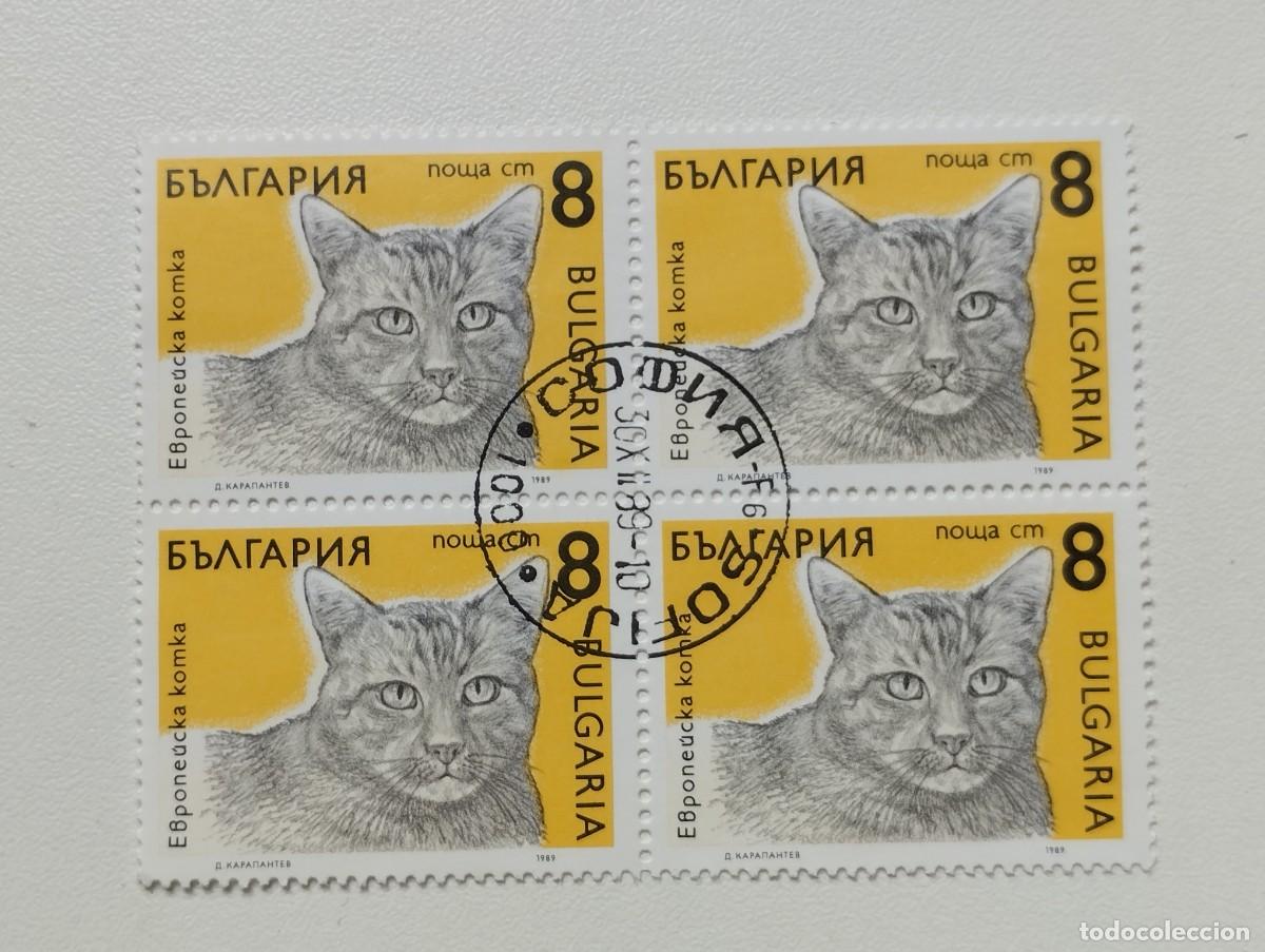 Sellos: BULGARIA 1989 LOTE SELLOS FAUNA FELINOS FELINO GATO GATOS
