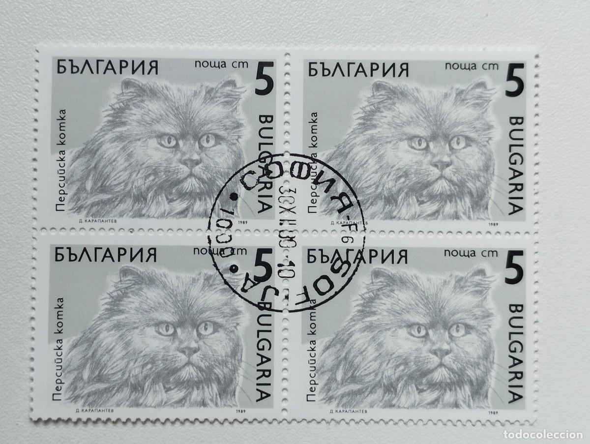 Sellos: BULGARIA 1989 LOTE SELLOS FAUNA FELINOS FELINO GATO GATOS