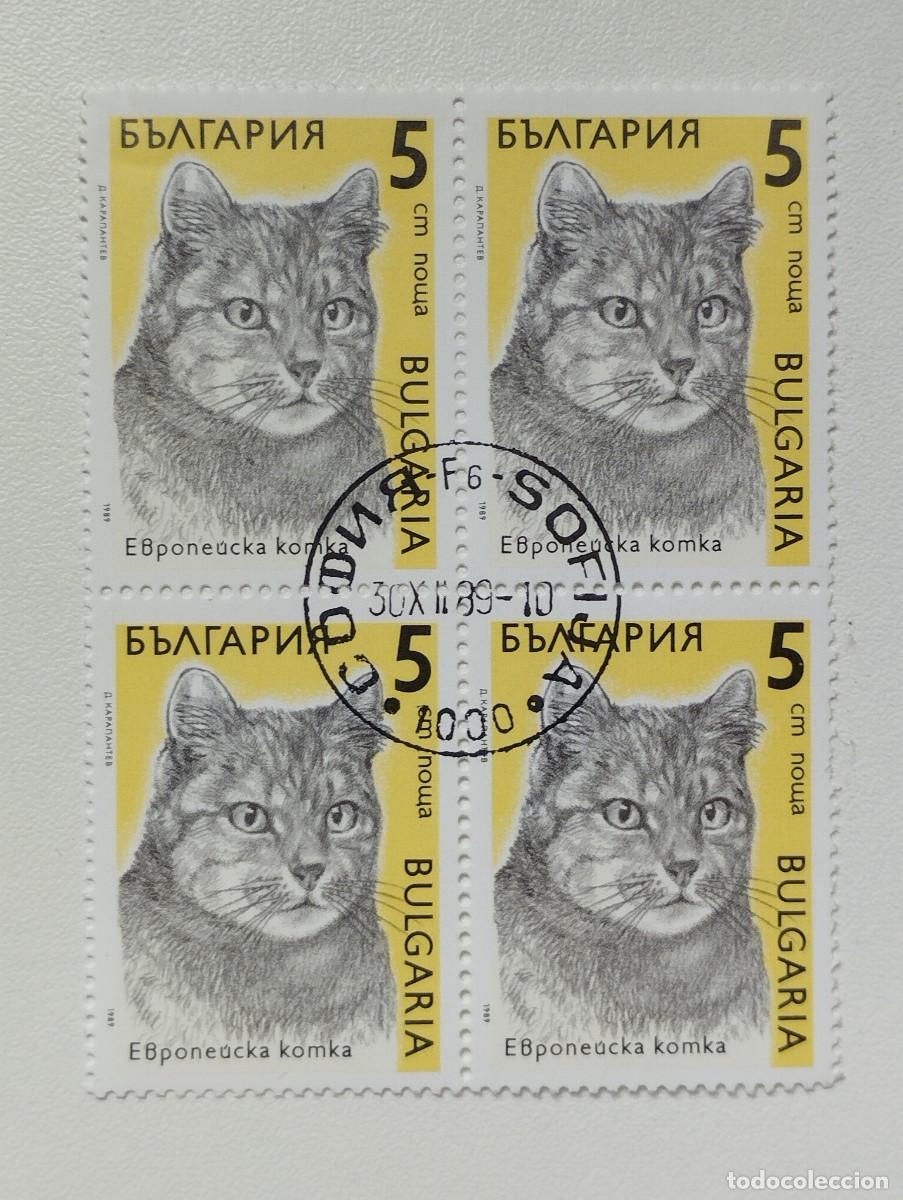 Sellos: BULGARIA 1989 LOTE SELLOS FAUNA FELINOS FELINO GATO GATOS