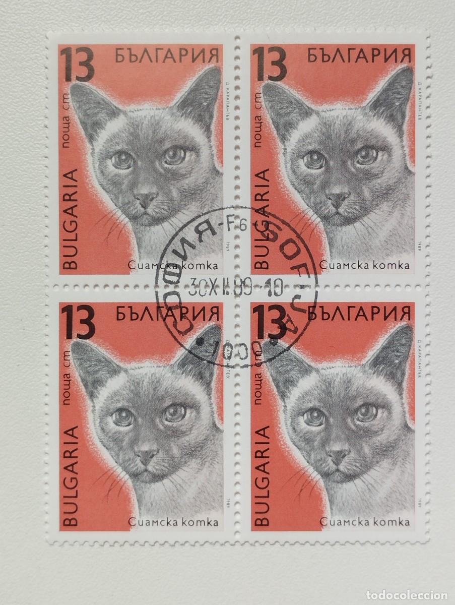 Sellos: BULGARIA 1989 LOTE SELLOS FAUNA FELINOS FELINO GATO GATOS