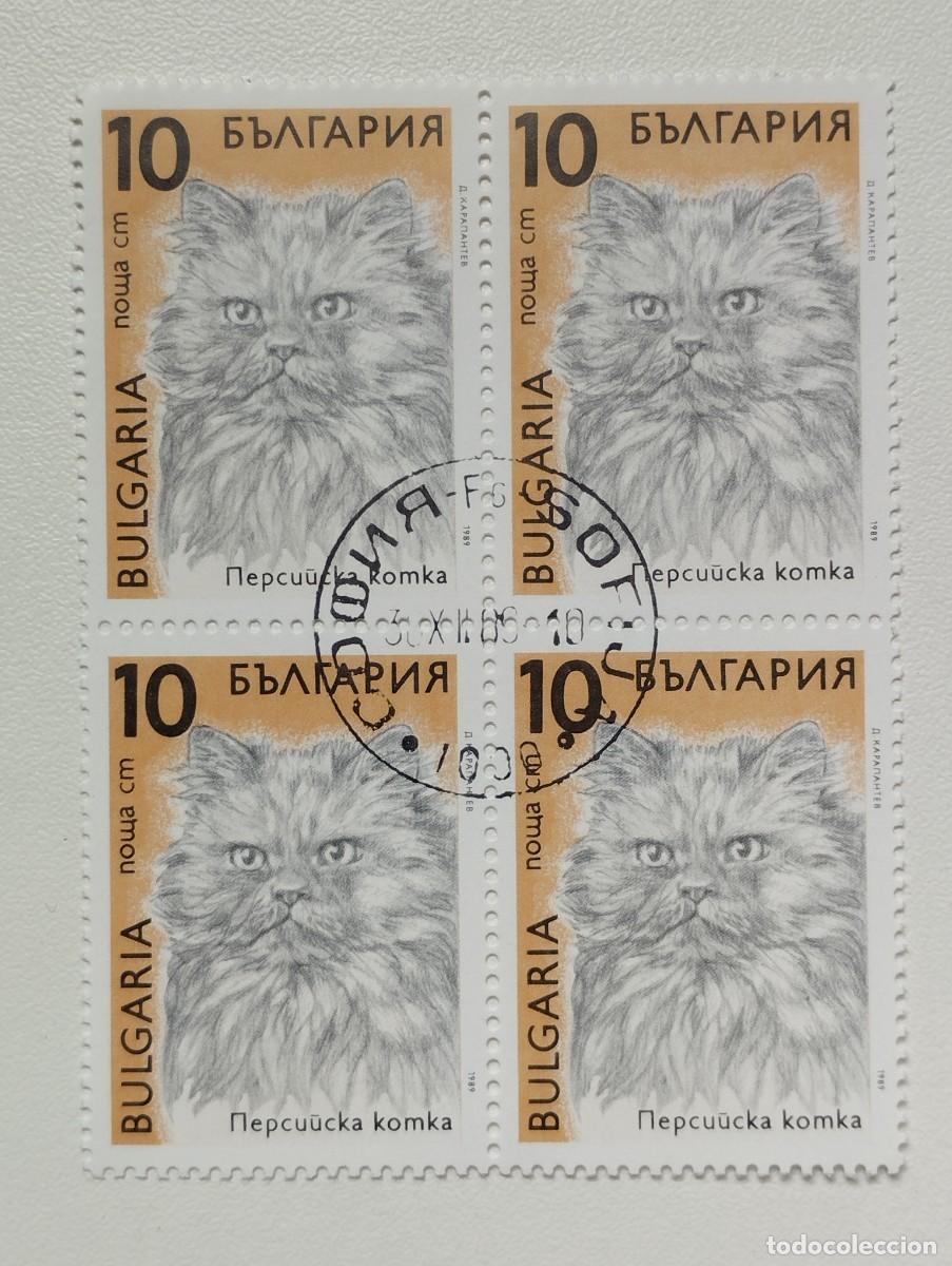 Sellos: BULGARIA 1989 LOTE SELLOS FAUNA FELINOS FELINO GATO GATOS