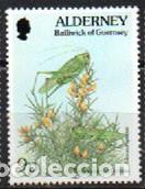 Sellos: Alderney (Gran Breta&ntilde;a) Ivert n&ordm; 73, Saltamontes verde y retamo espinoso, nuevo ***