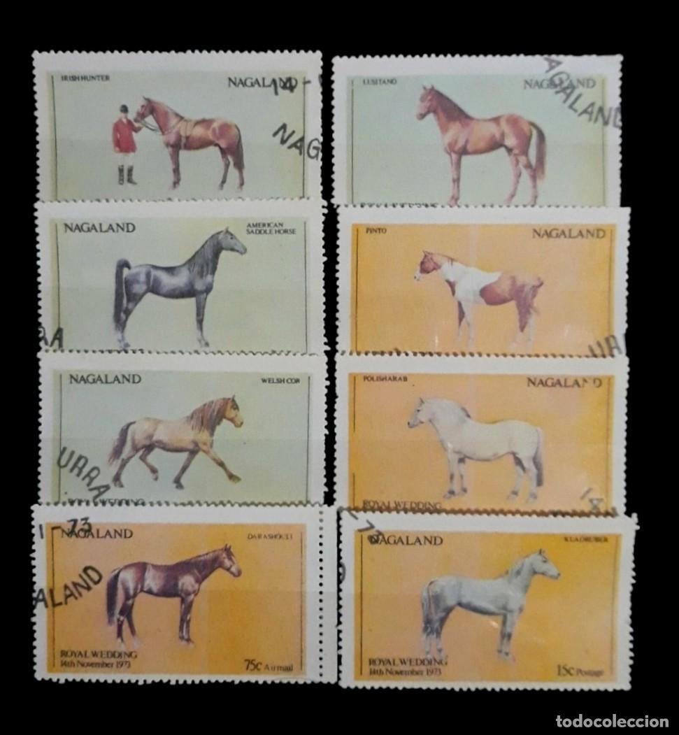 Sellos: NAGALAND 1973 (INDIA) CABALLOS - CANCELADOS DE FAVOR.