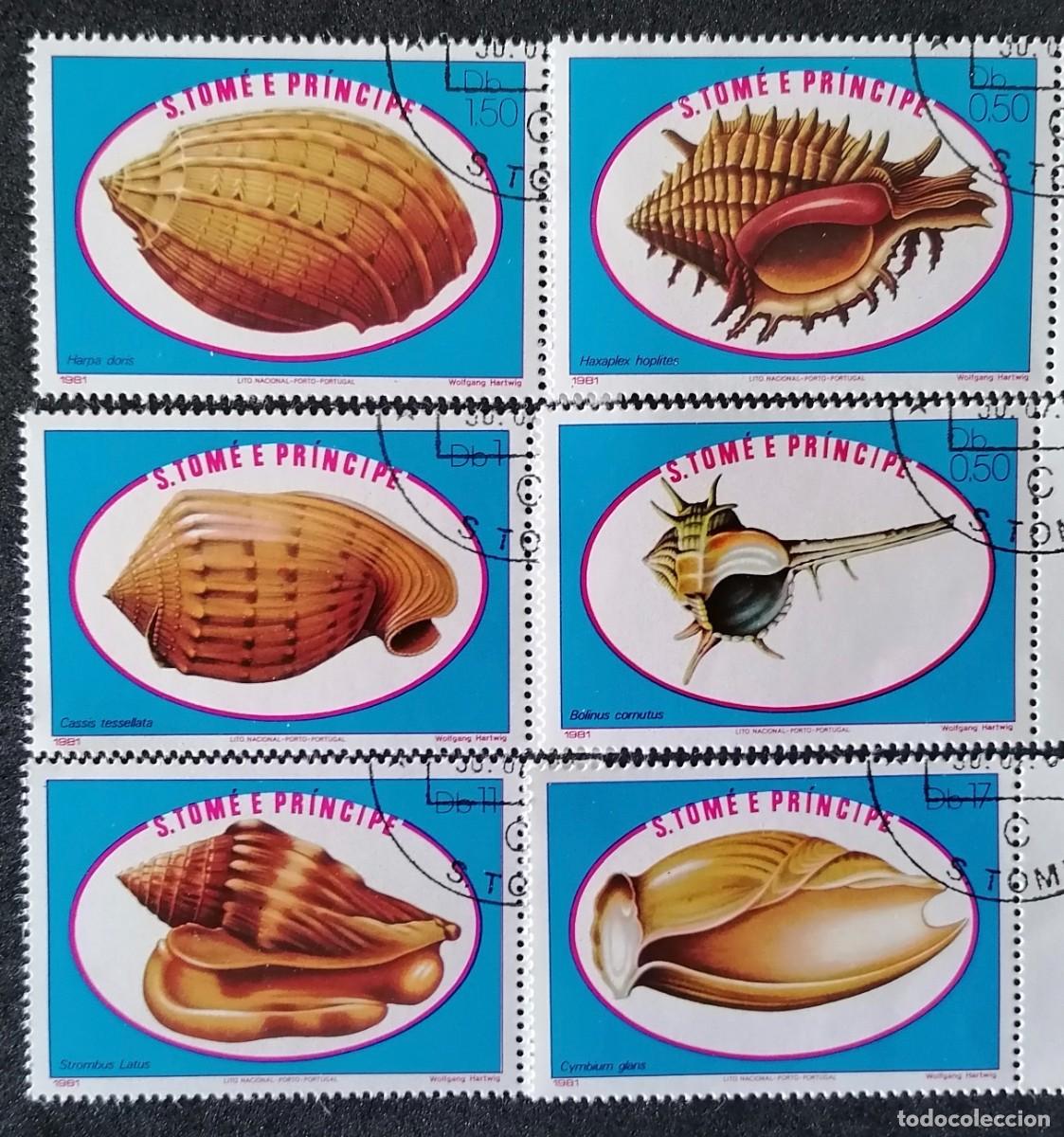 Sellos: SANTO TOM&Eacute; 1981 - CONCHAS MARINAS .