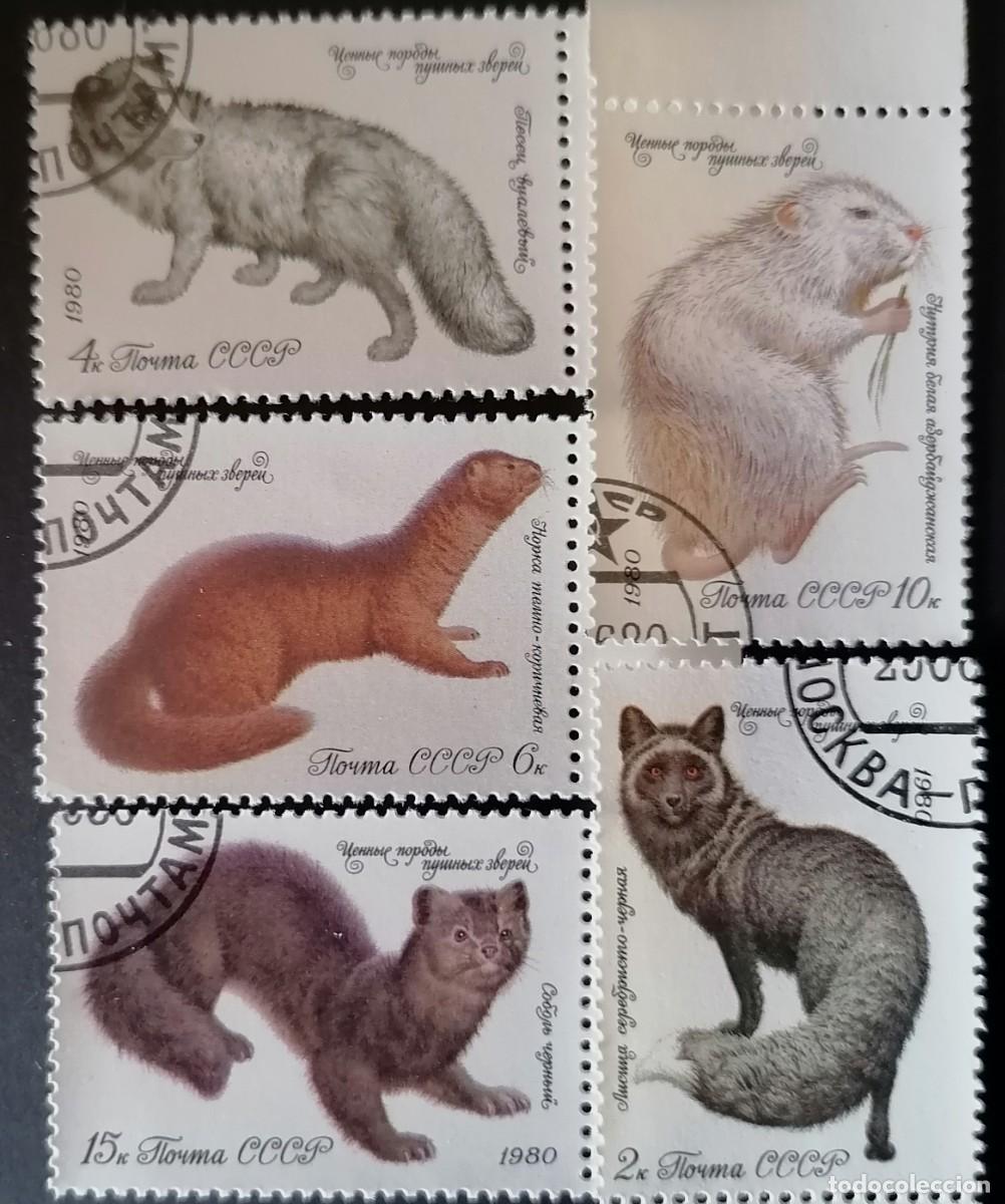 Sellos: URSS 1980 - FAUNA / ZORRO ..... .