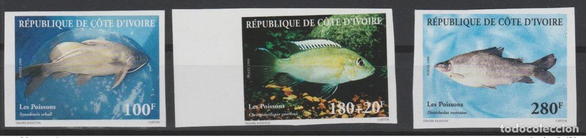 Sellos: Costa de Marfil 1999 IMPERF ND Fish Fische Fishes Marina Fauna MNH **