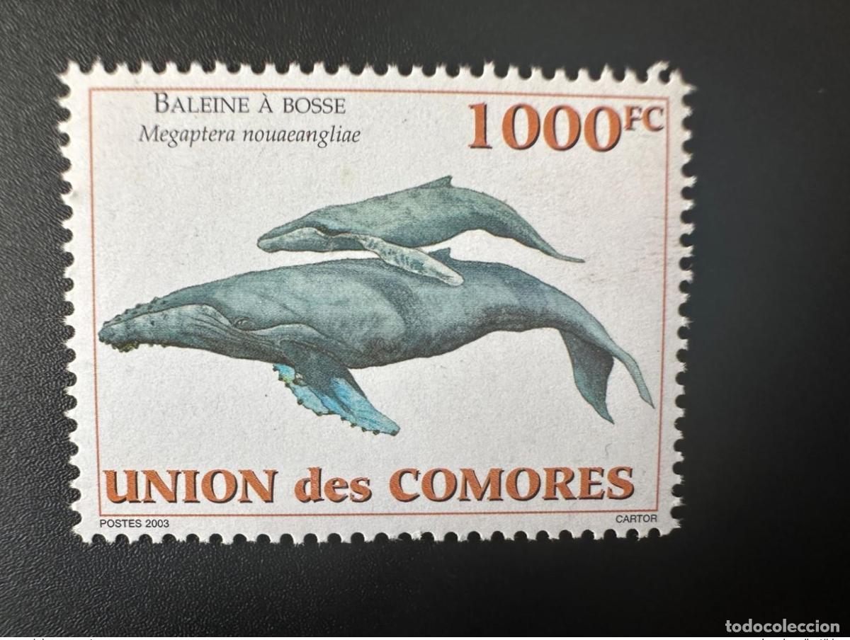 Sellos: Comoras 2003 Mi. 1794 Ballena jorobada Megaptera nouaeangline Fauna marina