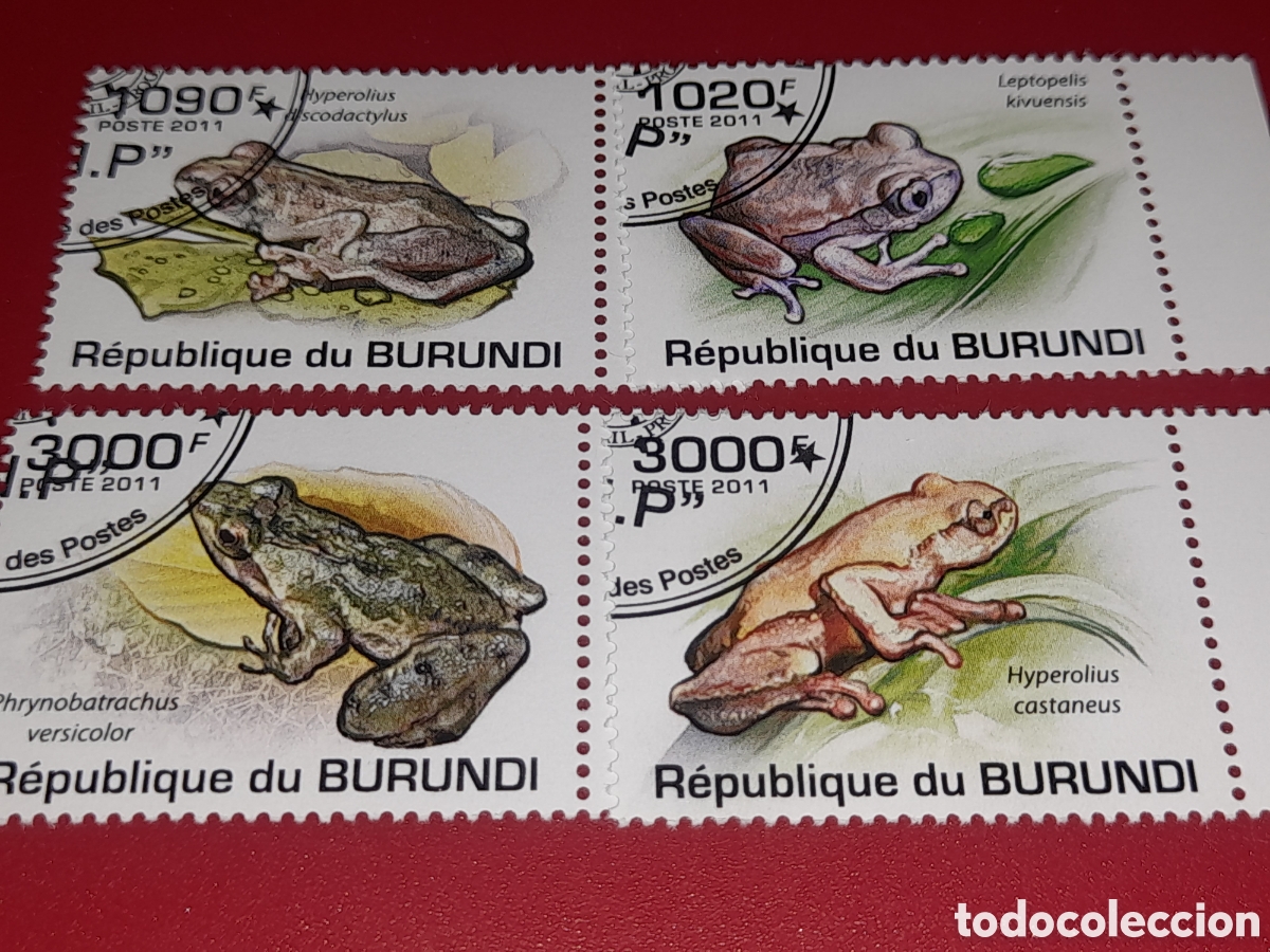 Sellos: Sello Burundi mtdo 2011. Ranas. Sapos. Anfibios. Animales salvajes. Fauna. Naturaleza.
