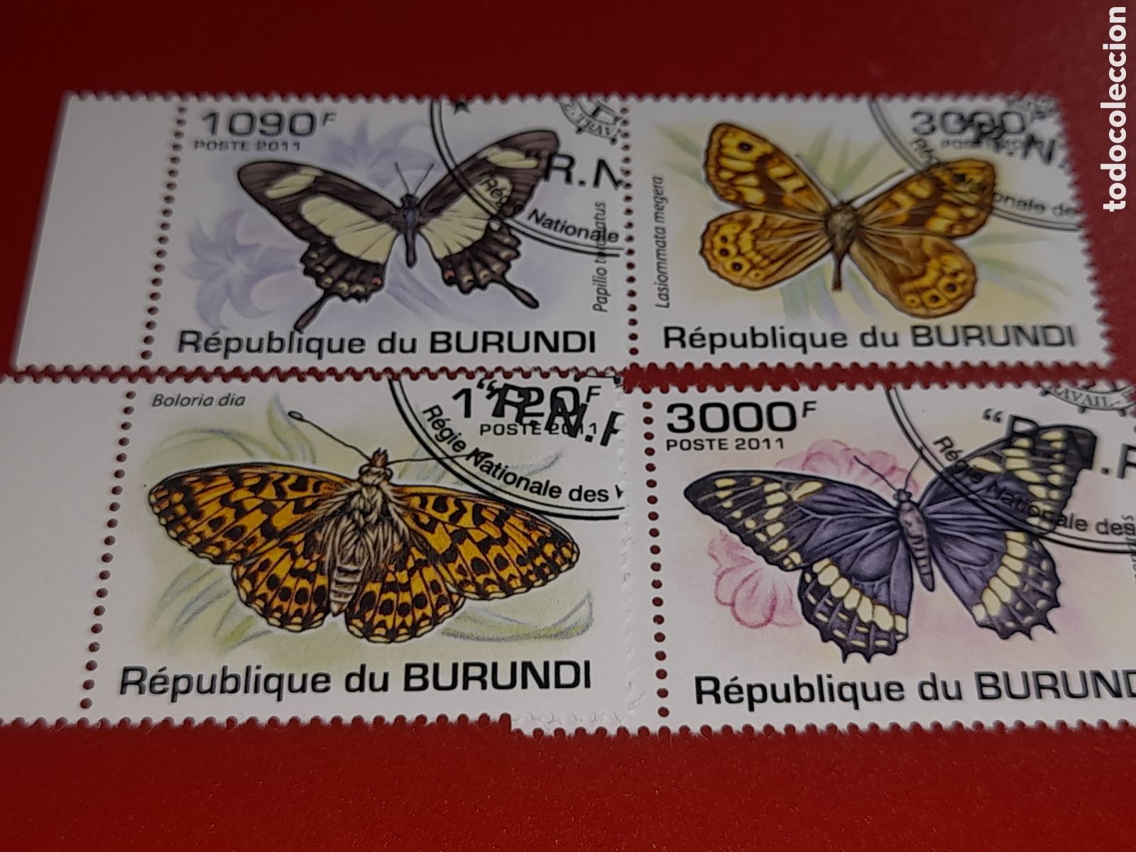 Sellos: Sello Burundi mtdo 2011. Mariposas. Polillas. Fauna. Naturaleza. Insectos.