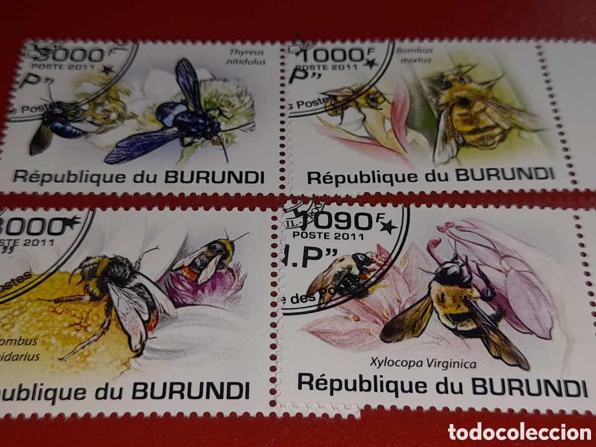 Sellos: Sello Burundi mtdo 2011. Abejas. Avispas. Fauna. Naturaleza. Insectos. Flores. Mosca.