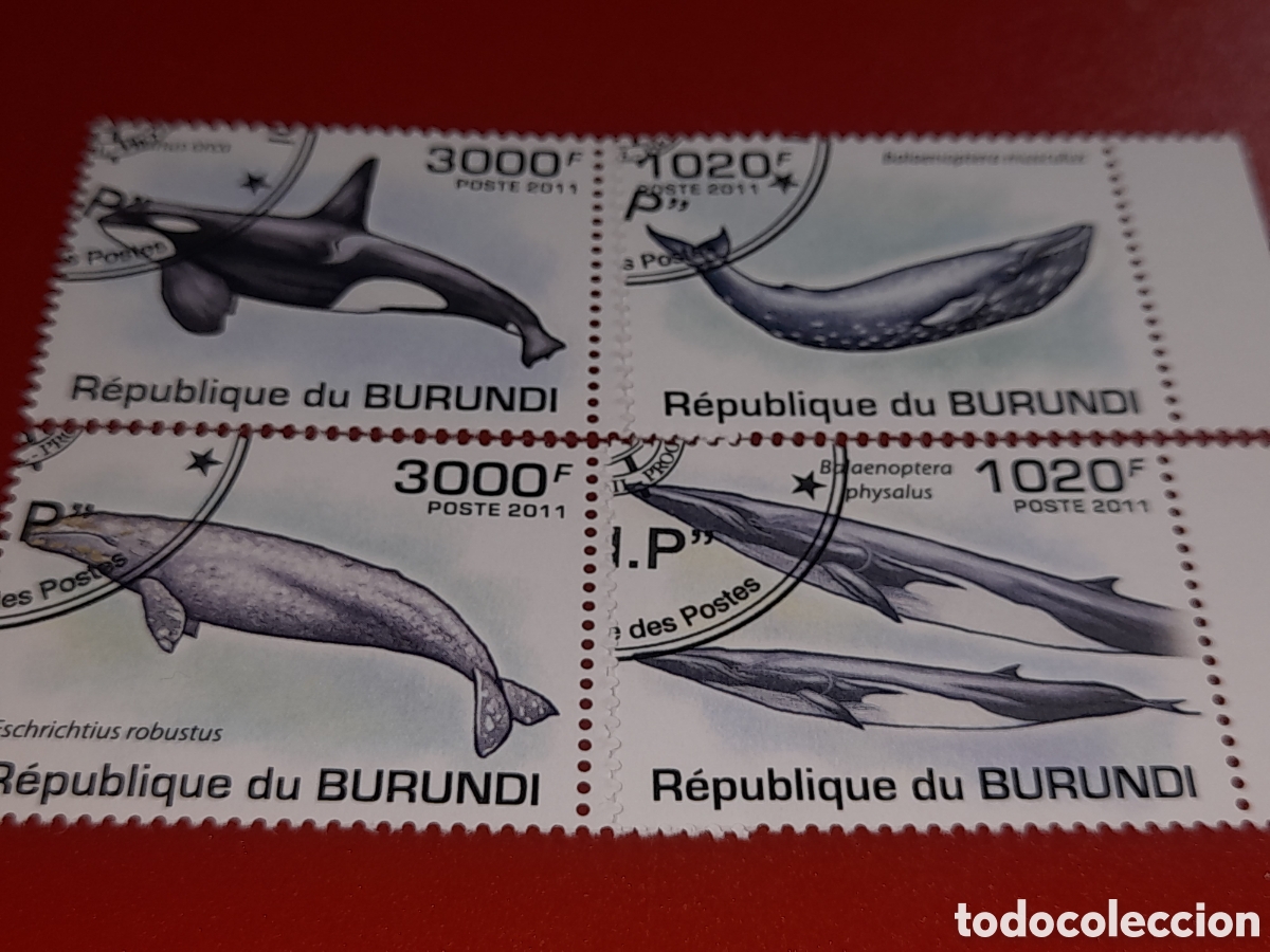 Sellos: Sello Burundi mtdo 2011. Fauna, vida marina. Ballenas. Cet&aacute;ceos. Orca. Peces. Pescado.