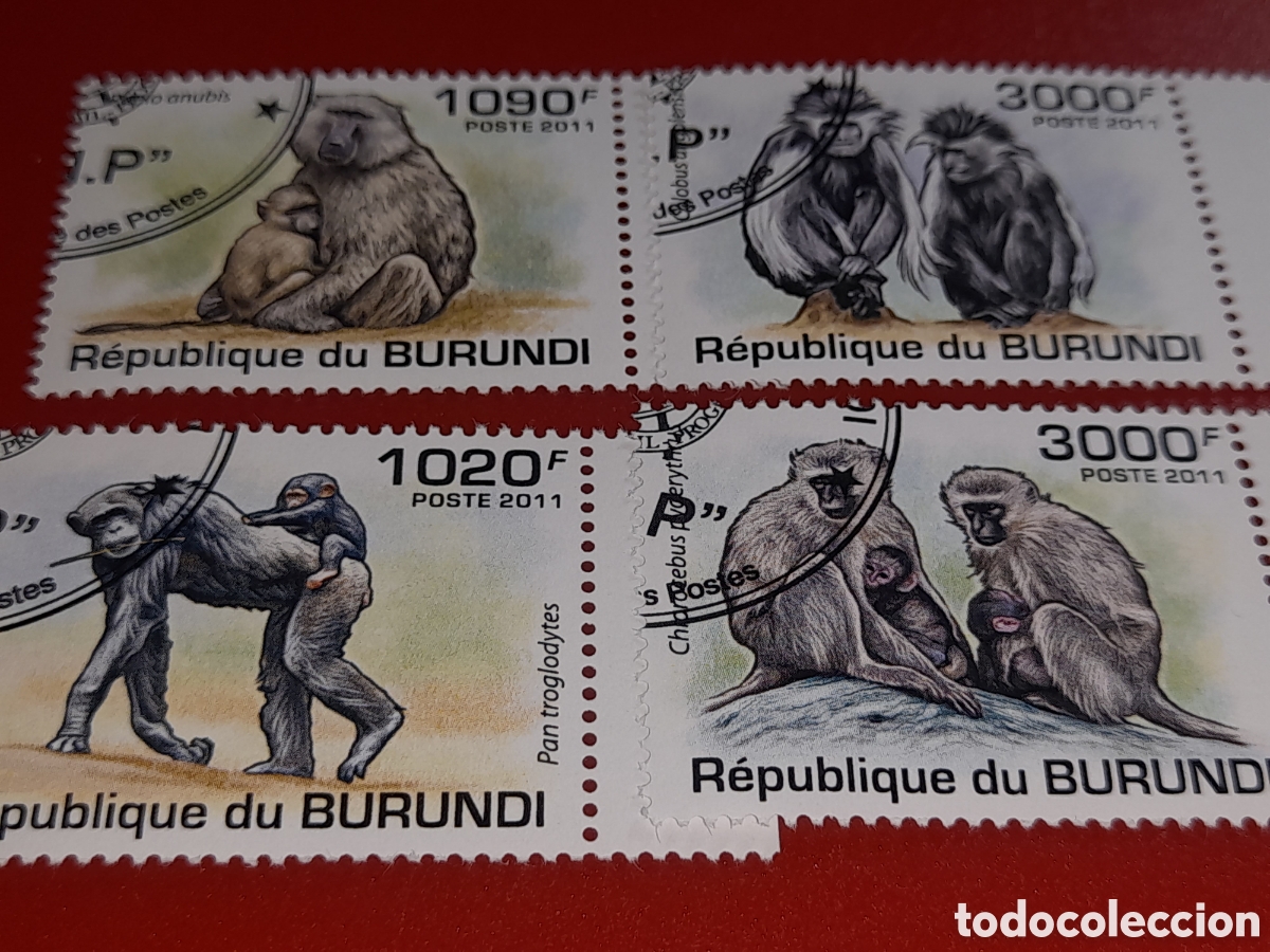 Sellos: Sello Burundi mtdo 2011. WWF. Fondo Protecci&oacute;n naturaleza. Aves. P&aacute;jaros. Fauna. Bubu. Tropical.