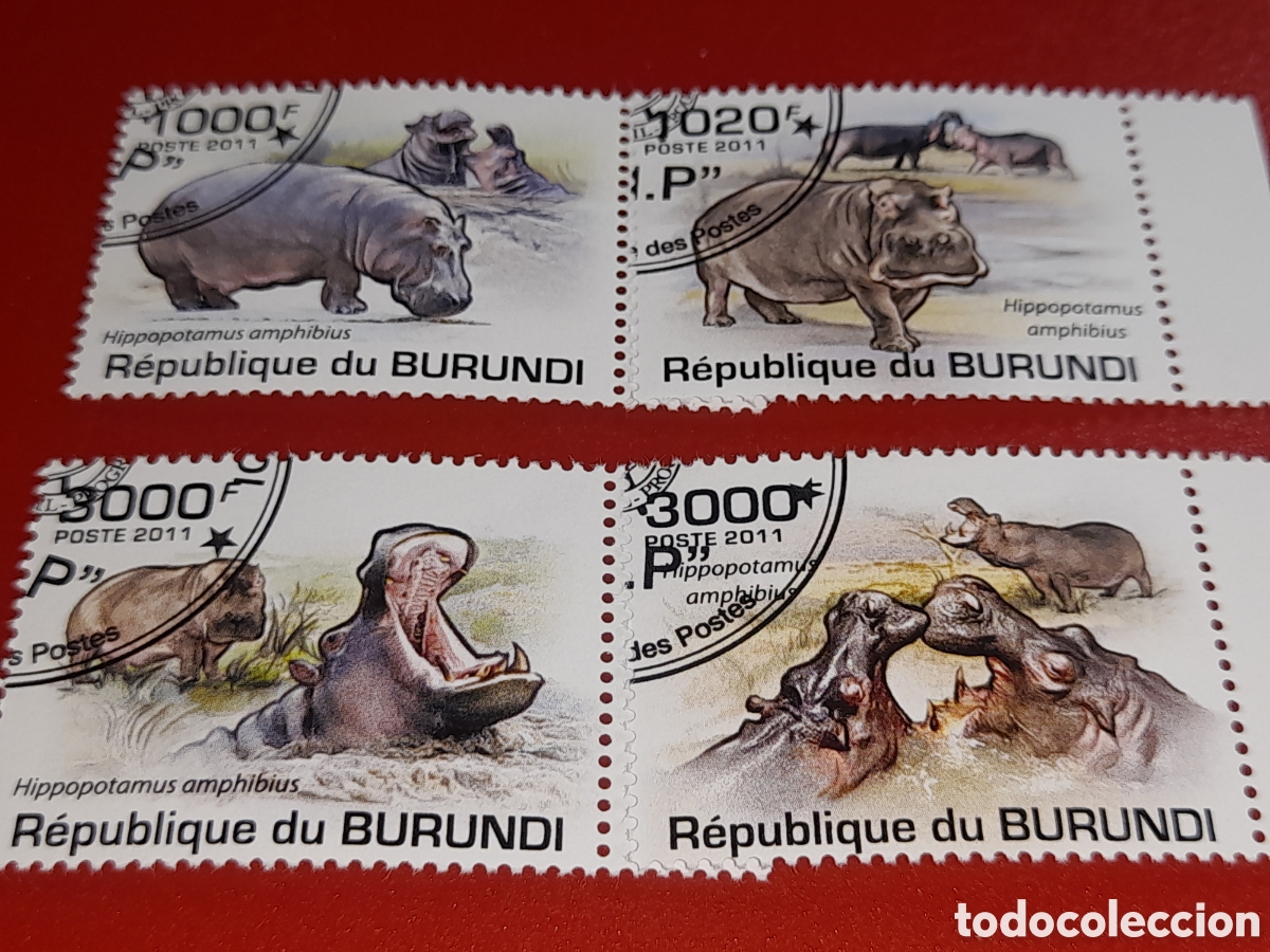 Sellos: Sello Burundi mtdo 2011. Fauna. Hipop&oacute;tamo. Aniamles salvajes. Mam&iacute;fero. Ungulado.
