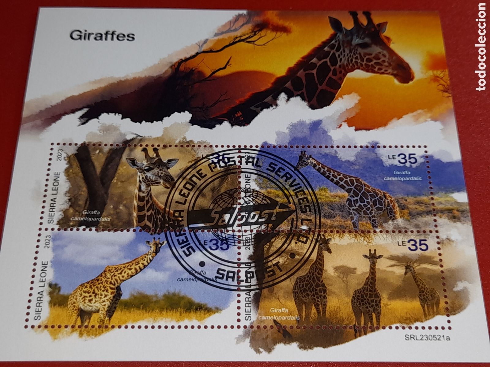 Sellos: HB Sierra Leona mtdo 2023. Jirafas. Animales salvajes. Sabana. Mam&iacute;feros. Ungulados.