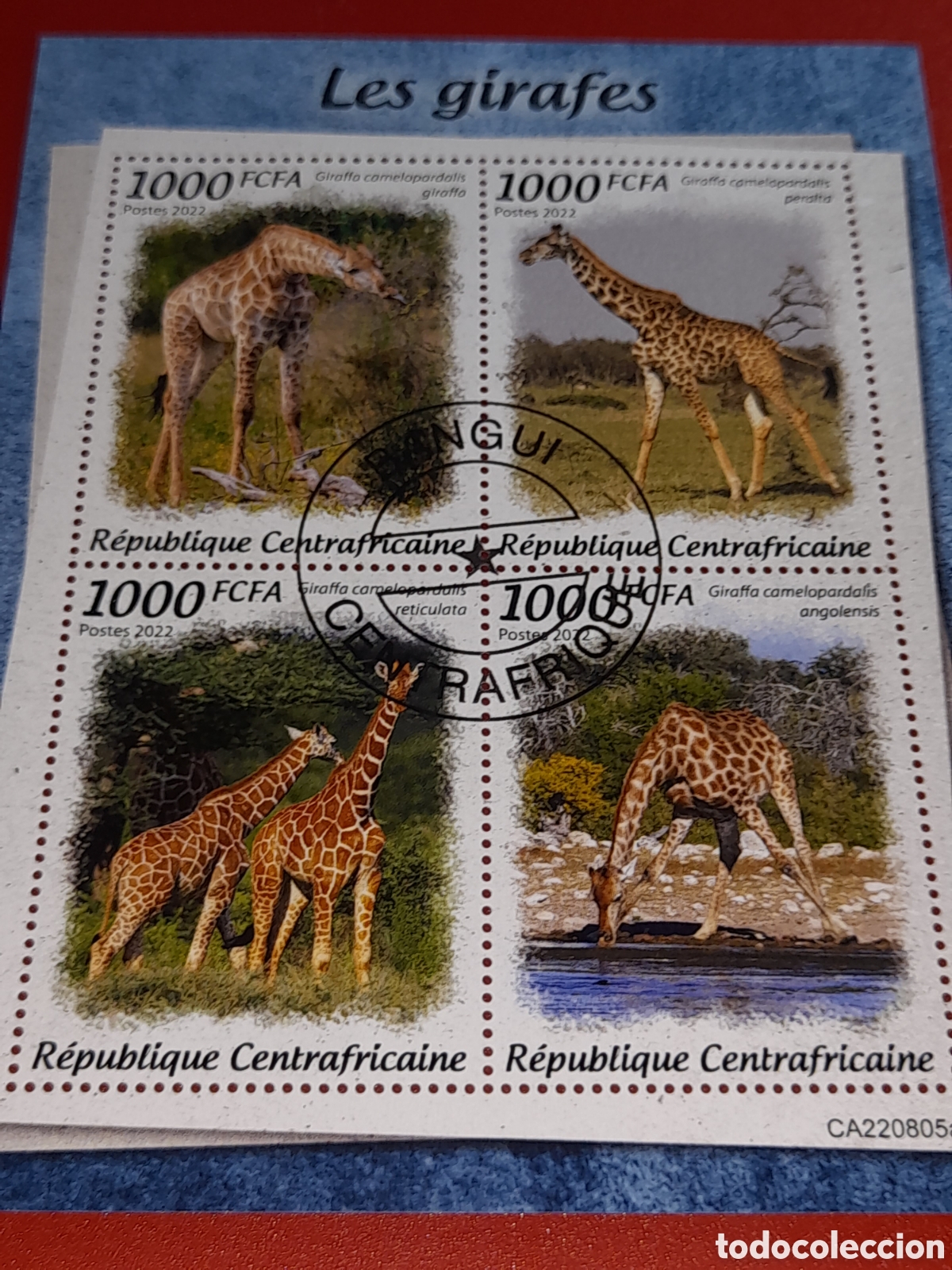 Sellos: HB Centroafricana mtdo 2022. Jirafas. Animales salvajes. Sabana. Mam&iacute;feros. Ungulados. Herb&iacute;voros.