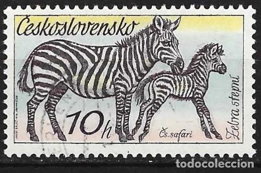 Sellos: Checoslovaquia 1976 - Mi 2345 - YT 2181 - Fauna : Cebra