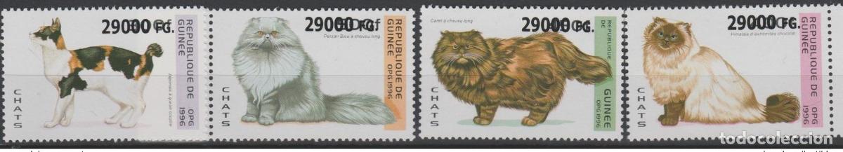 Sellos: Guinea 2008 Mi. 6340-43 sobrecargados Gatos Katzen animales fauna