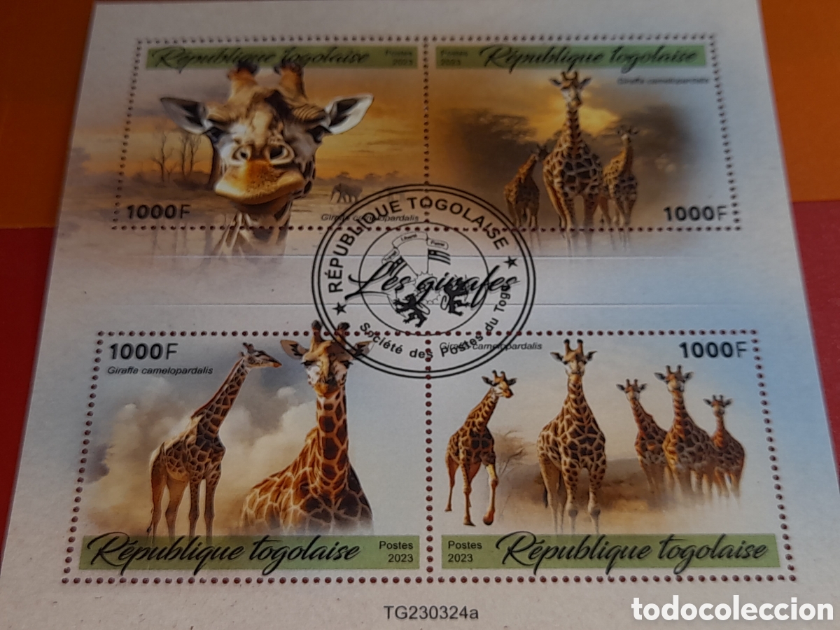 Sellos: HB Togo mtdo 2023. Jirafas. Animales salvajes. Sabana. Mam&iacute;feros. Ungulados. Herb&iacute;voros.