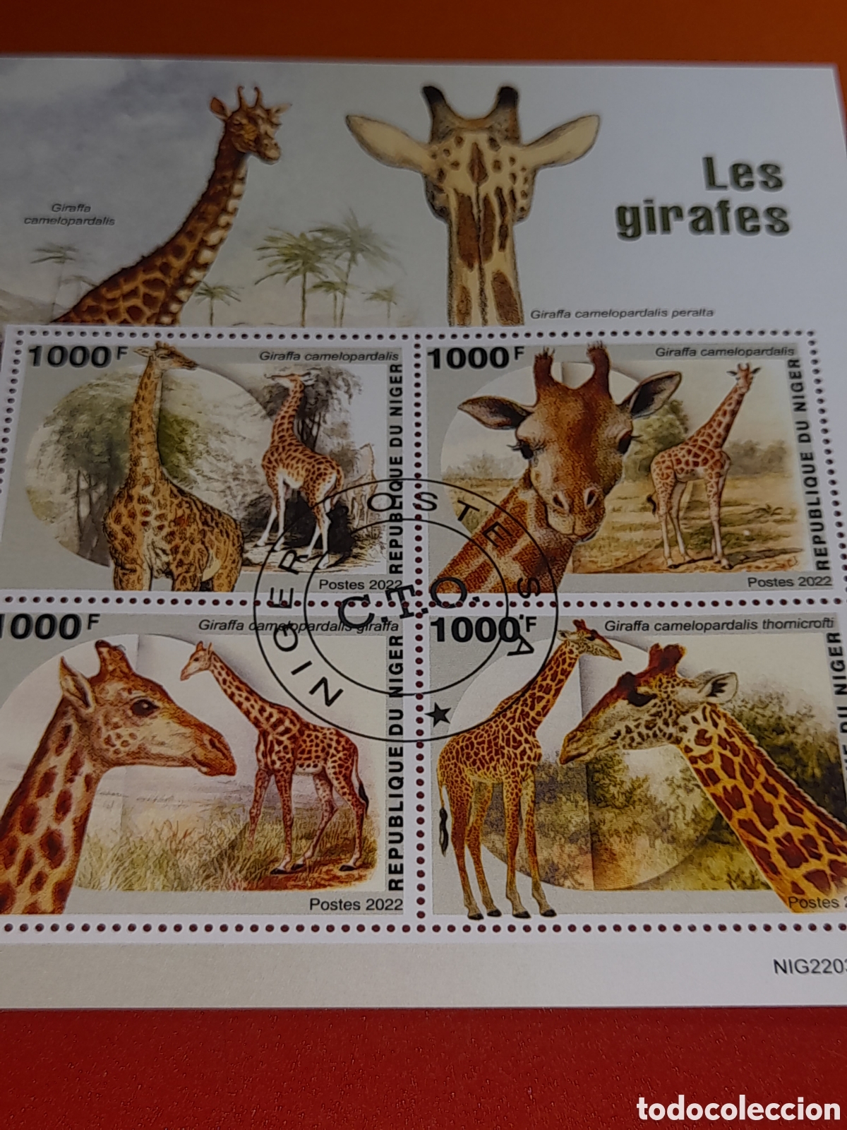 Sellos: HB Niger mtdo 2022. Jirafas. Animales salvajes. Sabana. Mam&iacute;feros. Ungulados. Herb&iacute;voros.