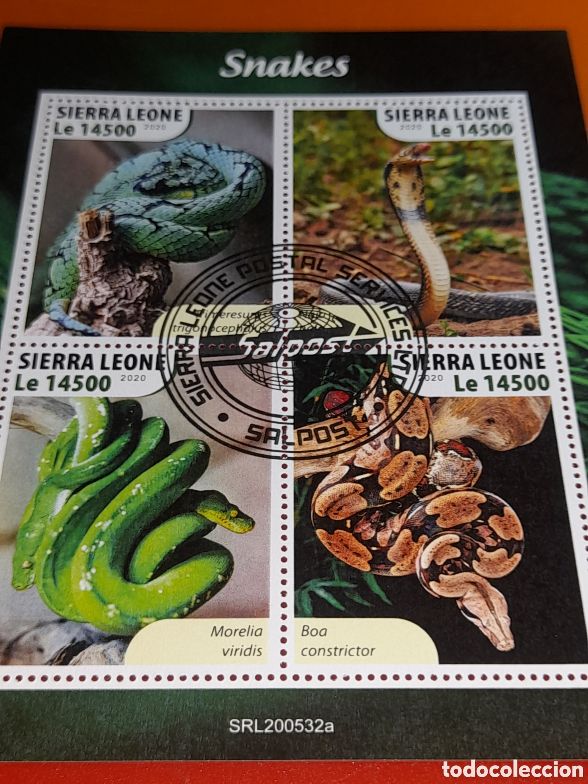 Sellos: HB Sierra Leona mtdo 2020. Animales salvajes venenosos. Serpientes. Reptiles. Crotalus. Boa. Fauna