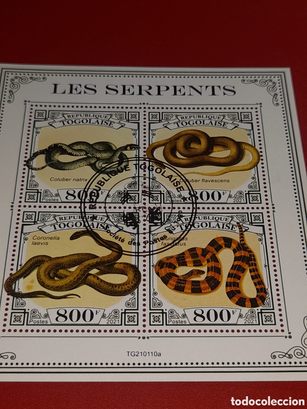 Sellos: HB Togo mtdo 2021. Animales salvajes venenosos. Serpientes. Reptiles. Fauna. Culebra. Reptiles