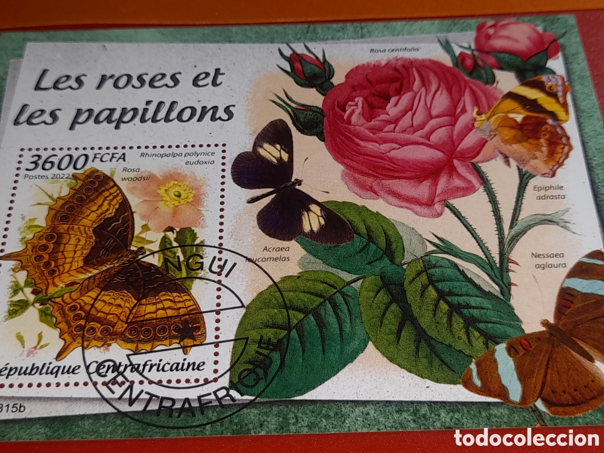 Sellos: HB Centroafricana mtdo 2022. Mariposas. Polillas. Insectos. Fauna. Animales. Rosa. Flores. Flores