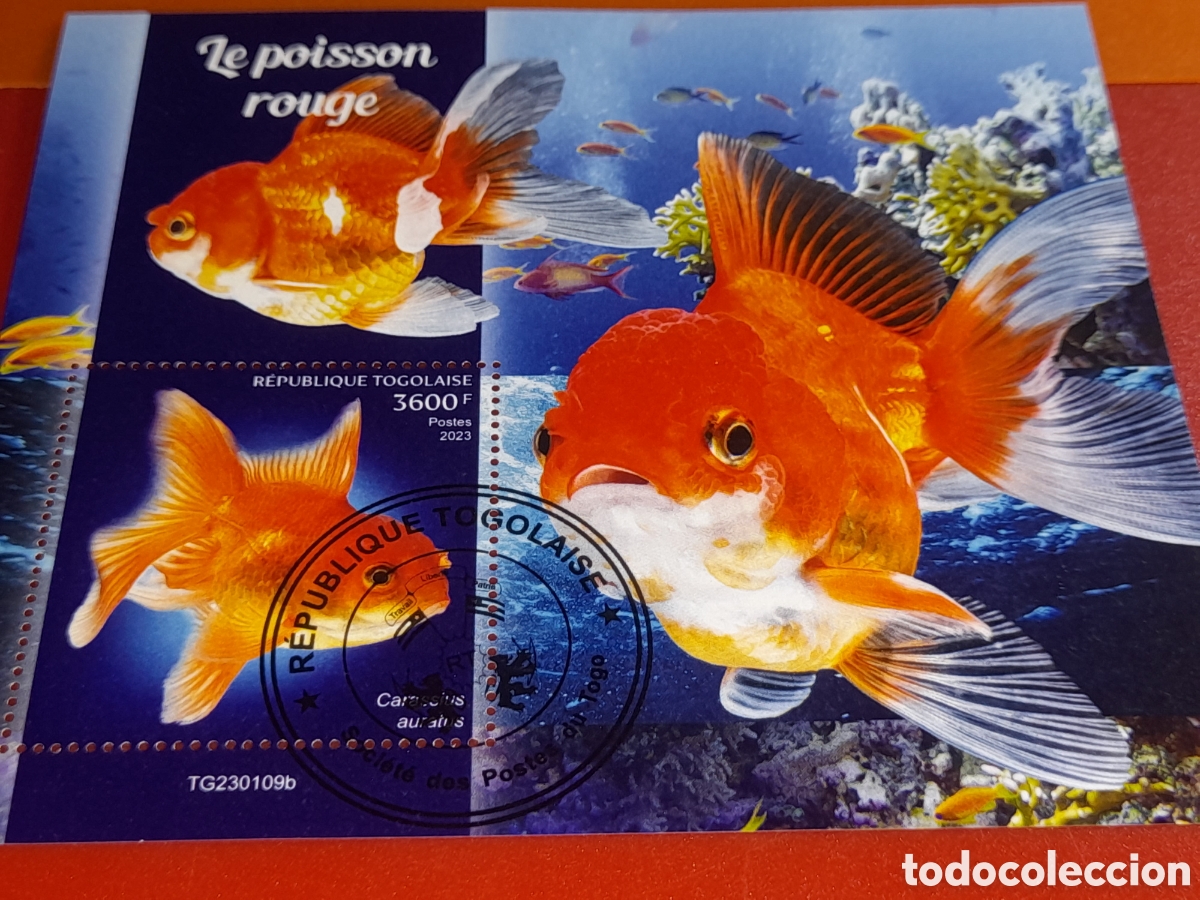 Sellos: HB Togo mtdo 2023. Animales, vida, fauna marina. Peces. Pescado. Acuario. Arrecife. Corales.