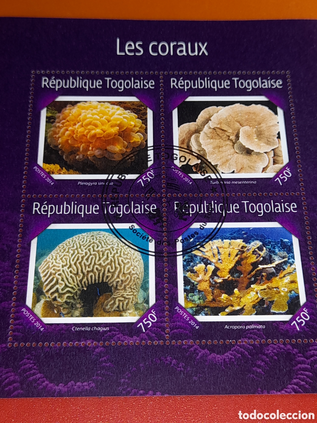 Sellos: HB Togo mtdo 2014. Vida, fauna marina. Corales. Arrecifes. Flora.