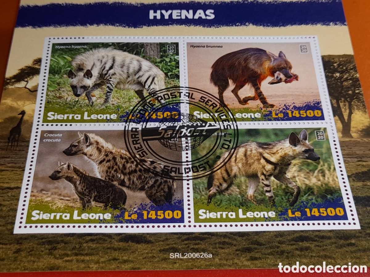 Sellos: HB Sierra Leona mtdo 2020. Animales salvajes. Hienas carn&iacute;voros. Mamifores. Feliformes. Fauna