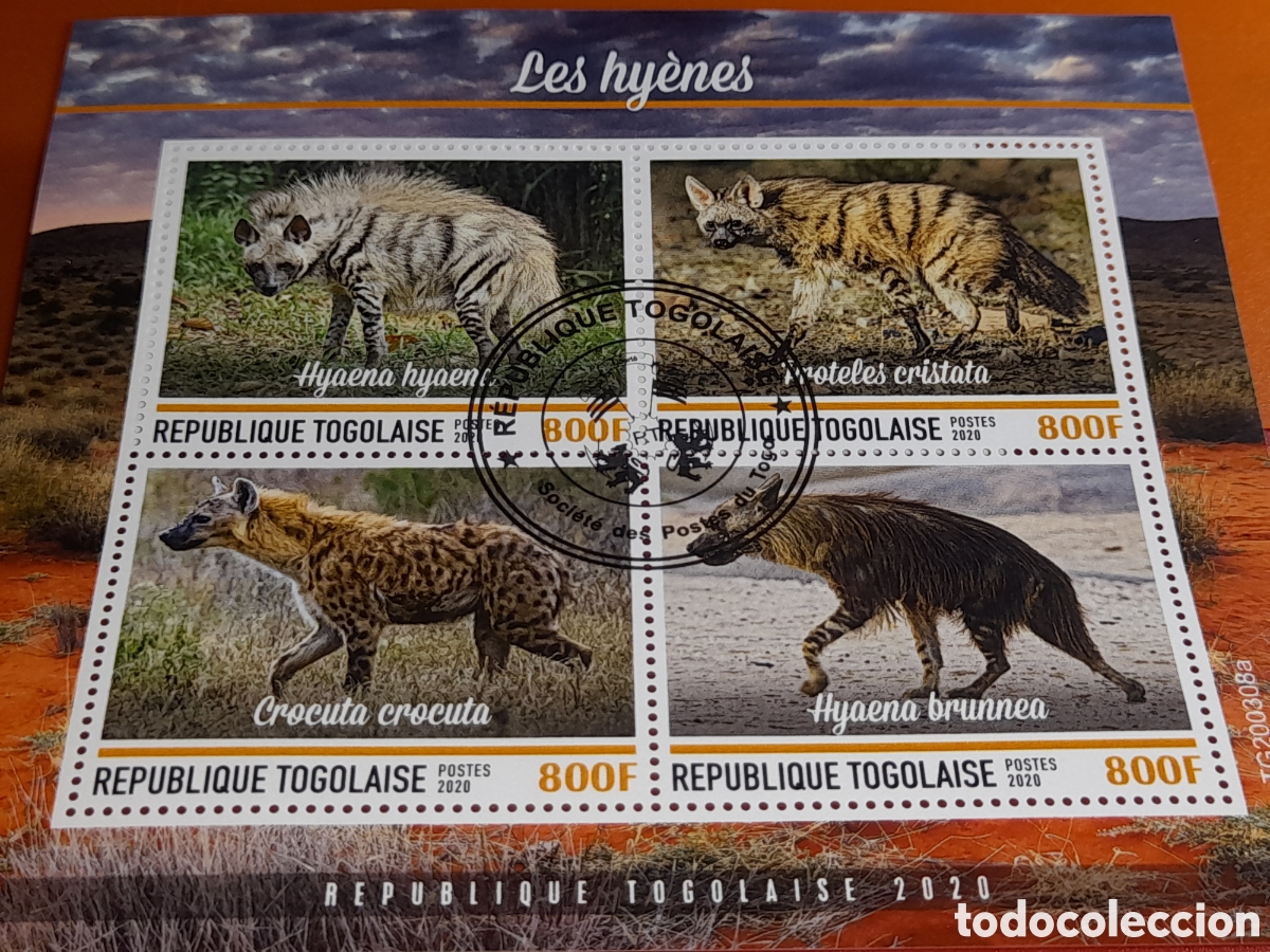 Sellos: HB Togo mtdo 2020. Animales salvajes. Hienas carn&iacute;voros. Mamifores. Feliformes. Fauna