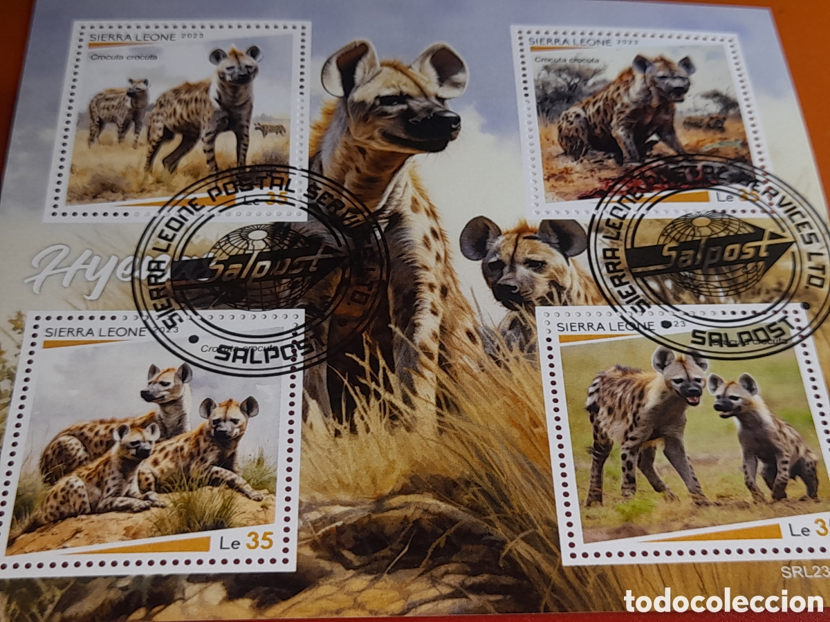Sellos: HB Sierra Leona mtdo 2023. Animales salvajes. Hienas carn&iacute;voros. Mamifores. Feliformes. Fauna