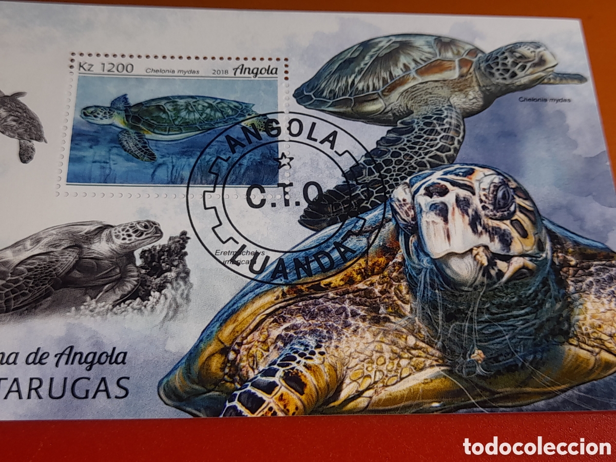 Sellos: HB Angola mtda 2018. Fauna, vida marina. Tortuga. Reptiles. Chelonia. Galapago.