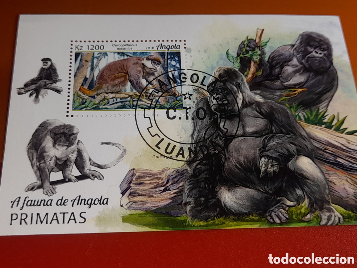 Sellos: HB Angola mtdo 2018. Monos. Simios. Fauna salvaje. Cercopithecus cola roja. Gorila.