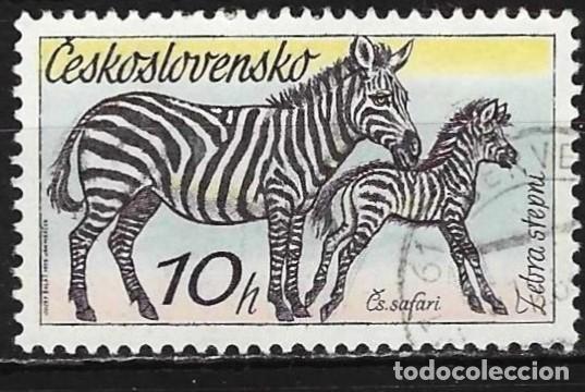 Sellos: Checoslovaquia 1976 - Mi 2345 - YT 2182 - Fauna : Cebra